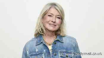 Martha Stewart allegedly infuriates Netflix as she SLAMS its documentary about her life after flying streamer's private plane to premiere