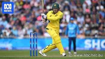 Carey leads Australia to victory with solid knock amid a racket of Headingley booing