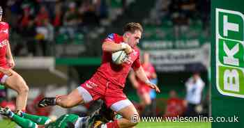 Scarlets held to draw in Italy after late try denies Dwayne Peel's men big victory