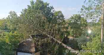 Freak Aldershot tornado terrifies families - 'everything lifted off the floor'