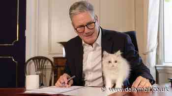 Keir Starmer shows off new Downing Street cat called Prince: Siberian kitten was 'part of deal' with PM's kids to move into No 10