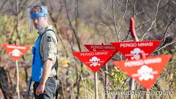 Prince Harry, 40, to follow in his mother Princess Diana's footsteps with African landmines initiative