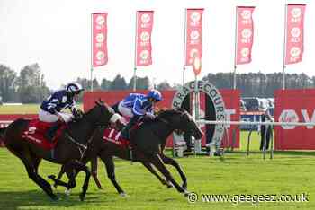 Sky Majesty reigns for Haggas at Ayr