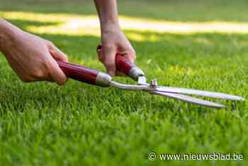 10 gazonklussen die (misschien niet) nuttig zijn: “Het is zwaar werk en onnodig in jouw tuin”