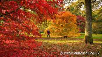 In a magical evocation on the first day of autumn, HORATIO CLARE says... Get set for nature's end of year firework display!