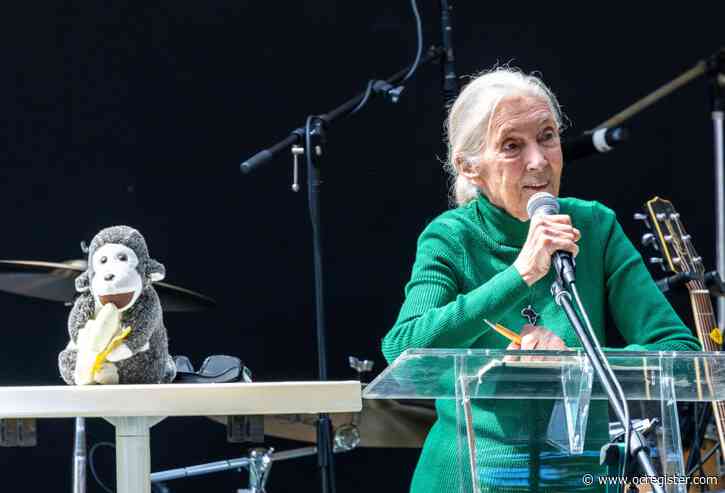 Jane Goodall draws large crowd for ‘peace day’ celebration in San Pedro