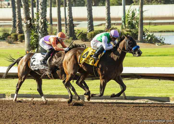 Show Card shows she’s tough in Los Alamitos win