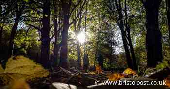 The stunning Bristol park that was home to quarries, a copper mill and landfill site