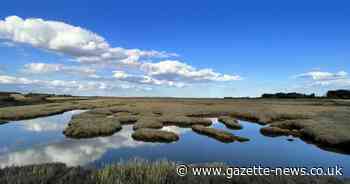 Plans for conservation work at site near Colchester to protect against climate change