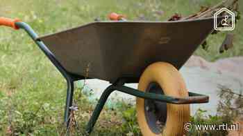 Dit zijn de laatste klusjes die je in september nog kunt doen in je tuin