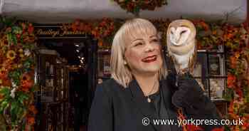 Owls bring joy and colour to York jewellery store