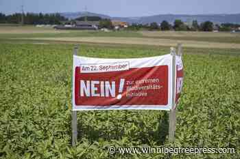 Birds, bees and ballots: Swiss voters to decide on plan to bolster country’s fragile biodiversity