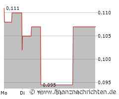 PTA-News: Small- & MicroCap Investment: Online-Werbemarkt boomt: Meta, Netflix, Adcore