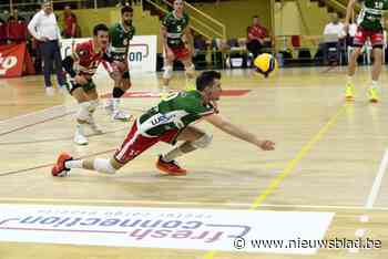 Jolan Cox wint zeven jaar na zijn vertrek met Maaseik in Antwerpen “maar er zijn nog werkpunten”