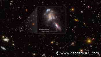 NASA Hubble Space Telescope Finds a High Number of Black Holes in the Early Universe