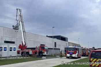 Brand in industriële bakkerij in Oostende snel onder controle: “Gebouw deed waarvoor het ontworpen werd”