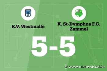 Zammel B speelt gelijk in uitwedstrijd tegen Westmalle