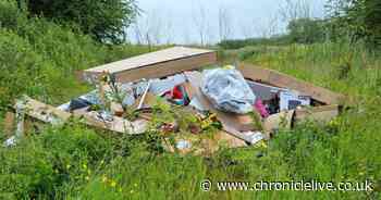 Two people fined for flytipping 'furniture, toys and a mattress' at a County Durham nature reserve