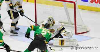 London Knights and Sarnia Sting split home-and-home series to finish pre-season