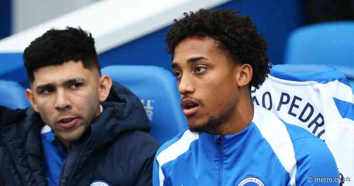 Brighton coach speaks out on Joao Pedro injury after latest scare