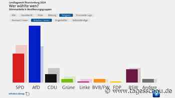 Wer wählte wen bei der Landtagswahl in Brandenburg?