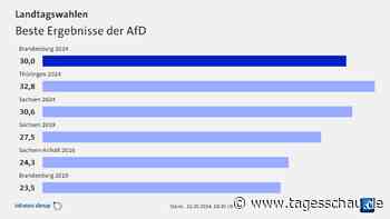 Womit die AfD bei der Wahl in Brandenburg punktete