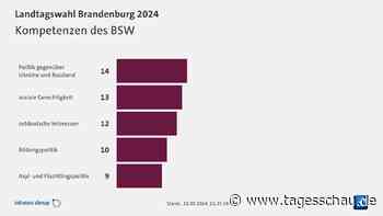 Grafiken zur Brandenburg-Wahl: Womit das BSW punkten konnte