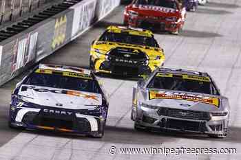 Stray puppy that brought Hamlin bad luck gets to stay after driver advances in NASCAR playoffs