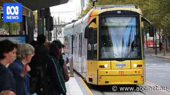 Labor's tram revival on back burner despite warnings about future traffic congestion in Adelaide