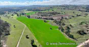 Jemalong delivers productive landscapes with meticulous management | Video