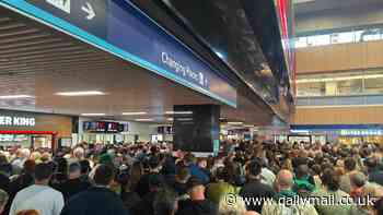 Train passengers brand Euston Station 'Like Squid Games but with a Boots' after day of hellish delays, chaotic queues and even dripping trains