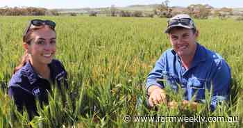 Knipes of Northam are positive as they seek finishing rains in September