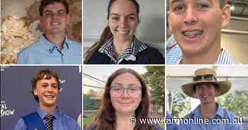 Young Merino sheep judging national finalists announced