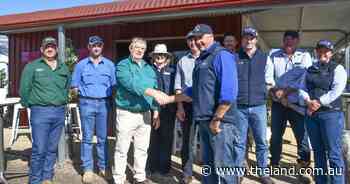 New life for Henty Show crop competition