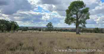 Maranoa cattle property to run 300 breeders and exceptional homestead