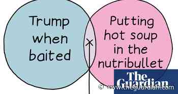 From a baited Trump to hot soup in the Nutribullet: Edith Pritchett’s week in Venn diagrams - cartoon