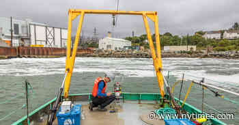 Could Altering Ocean Chemistry Help Slow Global Warming?