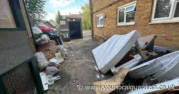 New Addington flat block residents 'living around rats, bugs and rubbish piles'