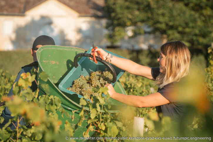 Château d’Issan to make white wine from Rhône grapes