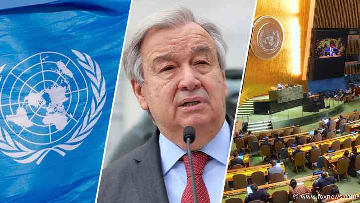 UN's 'Pact for the Future' full of empty promises, will be 'cudgel' to attack the United States, expert warns