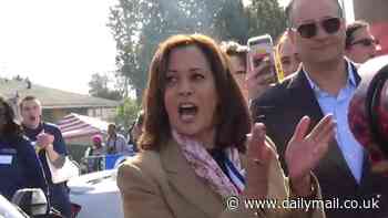 Resurfaced video shows Kamala Harris protesting against deporting migrants with disgraced celebrity