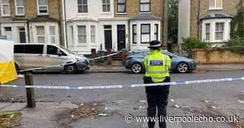 Stabbed schoolboy begged 'don't let me die' as he bled to death in London street