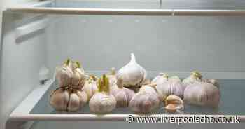 Experts reveal the worst place to store garlic and how it affects flavour