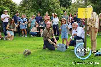 Uilen vrijlaten op Dag van het Park