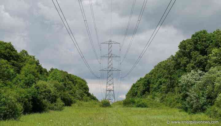 ‘UK pylons have no impact on house prices’