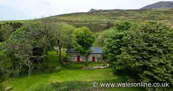 Cosy cottages you can still book for October half-term in Wales 2024