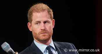 Prince Harry risks raising eyebrows by wading into politics and issuing government plea