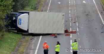 A737 crash: Woman and four horses killed in horror smash between Mercedes and van