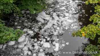 Locals horrified after river turns to foam in Manchester - as officials launch probe