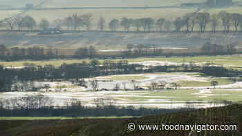 Flood-hit European farmers set to receive €120m